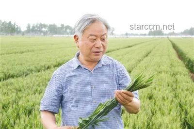 农业科技创新与种业发展洞察：致敬袁隆平先生的“禾下乘凉梦”