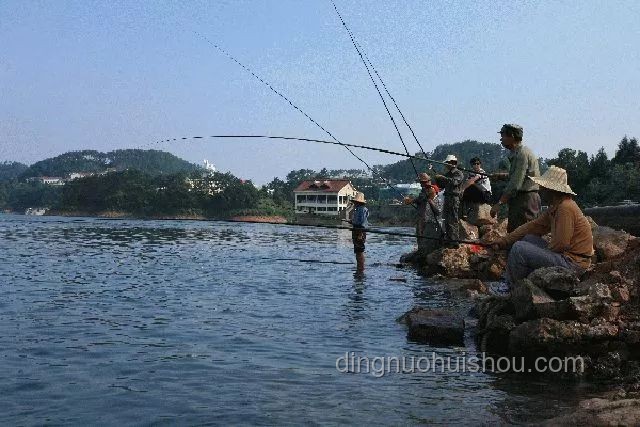 垂钓经济崛起：以“巨物钓场”现象透视休闲渔业新机遇