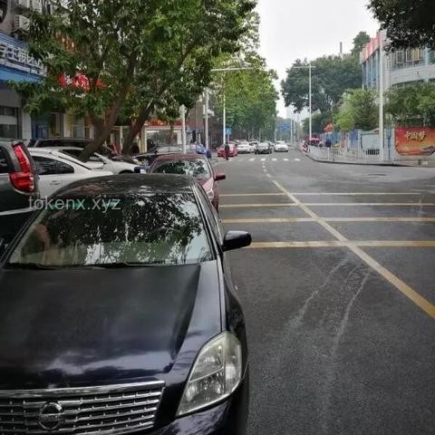 东莞高架路车道变更趋势与安全提升预测