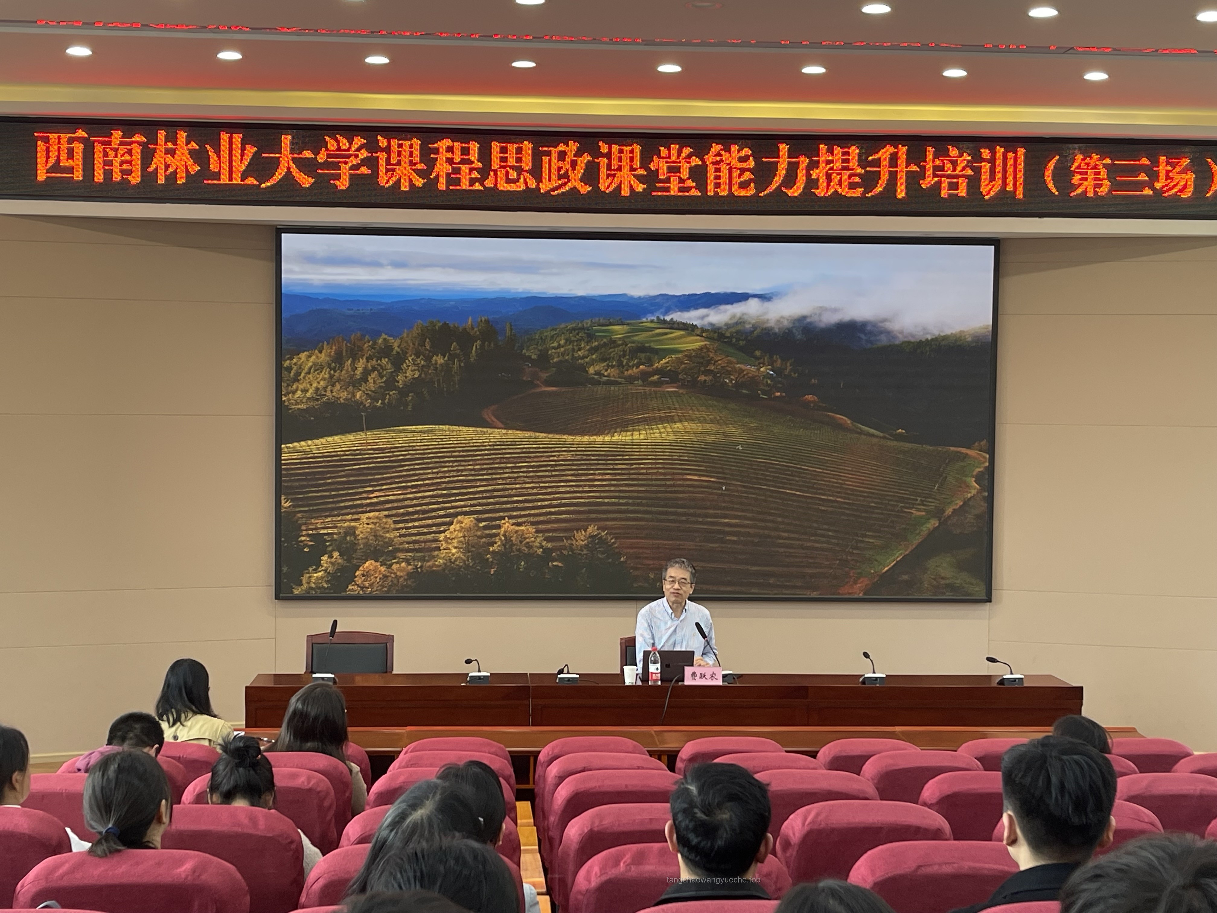 深圳大学：创新驱动下的高等教育改革与发展案例研究