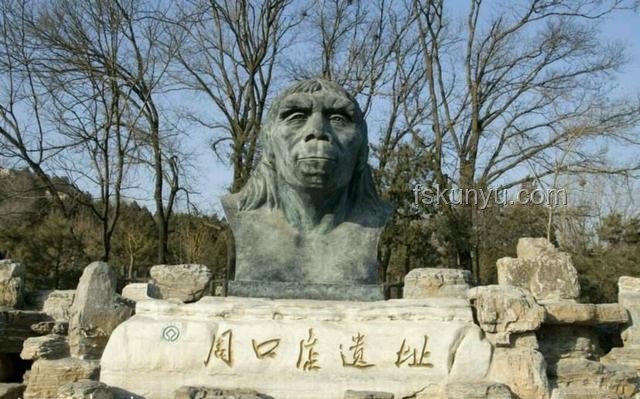 人类直立行走极端小概率事件探析