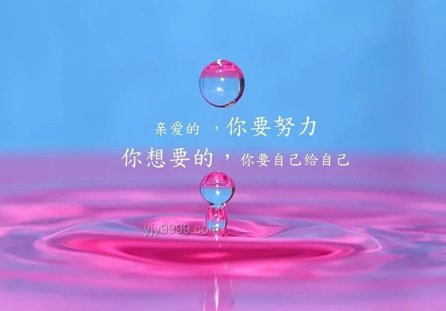 高考加油新语录：一人一句，创新汇聚力量