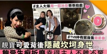《砚底鸣蝶》热播背后的影视制作行业洞察